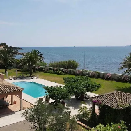 Des Pins Port Grimaud
